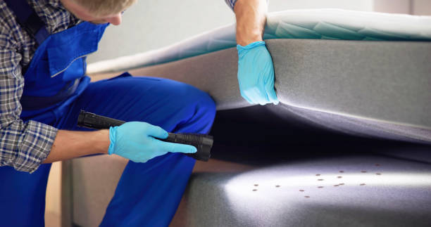 Best Local Pest Control Services  in , GA